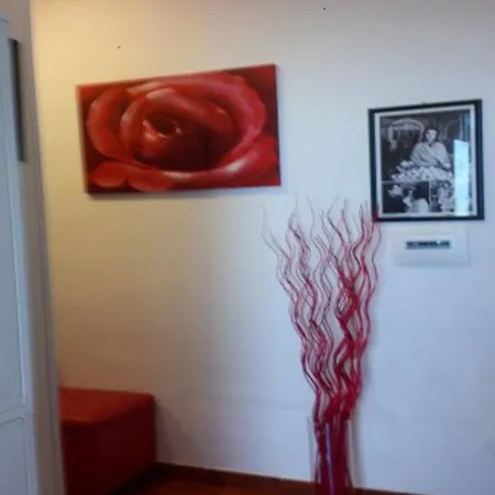 Magic Stefy's Affittacamere